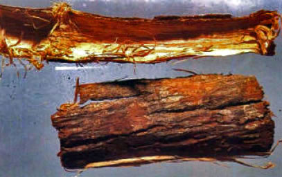 Kulianpi3